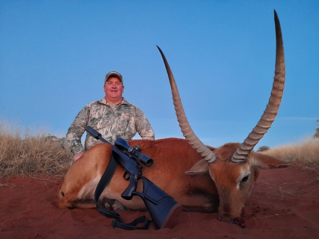 Red Lechwe 
